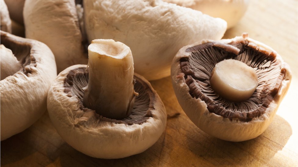 ¿Los champiñones pueden prevenir la gripa? La ciencia responde