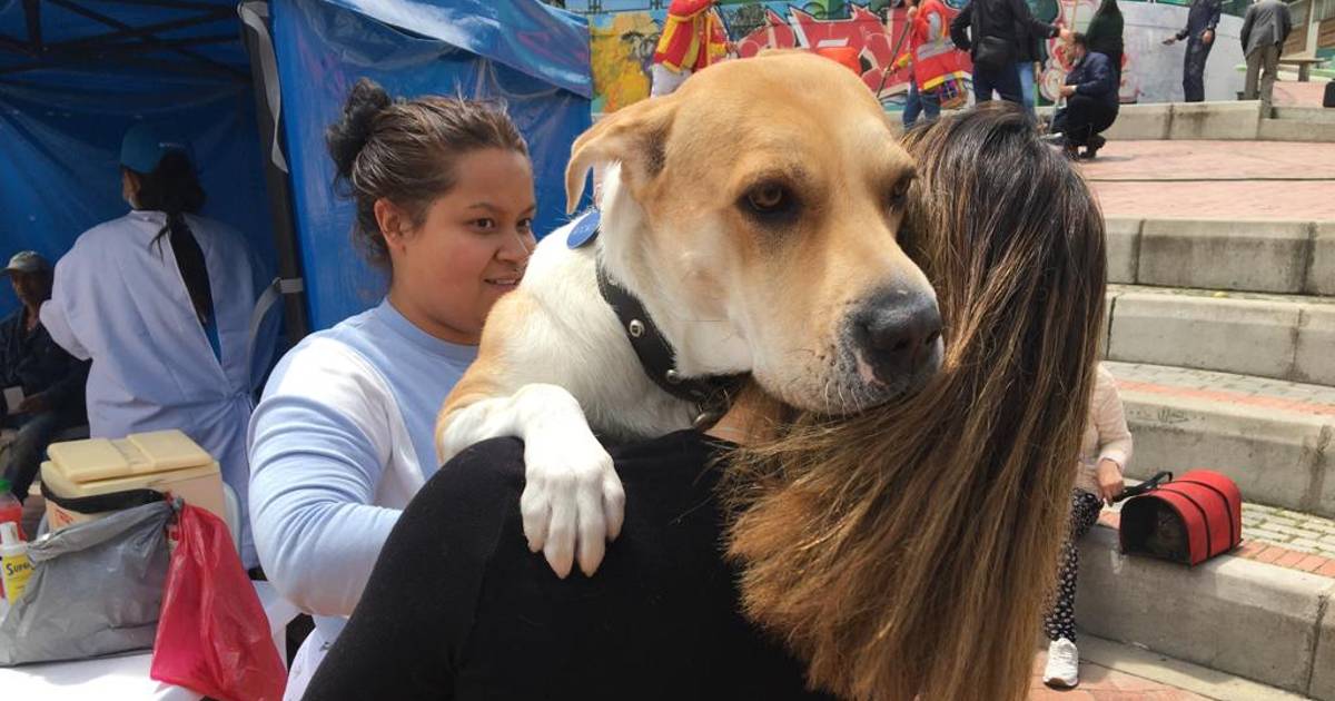 Menos abandono, más conservación: SEDEMA invita a jornada de esterilización en Tlalpan