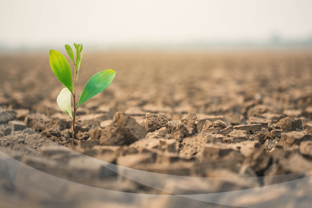 México se va librando de la sequía: solo el 9 % del territorio la padece