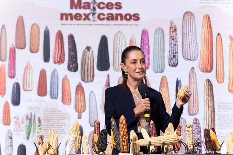 México impulsa energías renovables y transporte eléctrico en Nueva York