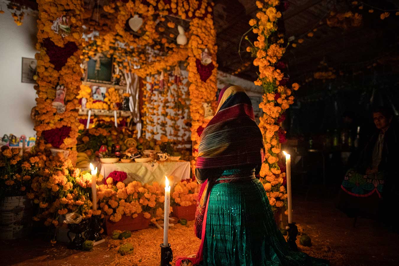 Flores, música y memoria: participa en el Concurso de Ofrendas 2025 en Chapultepec