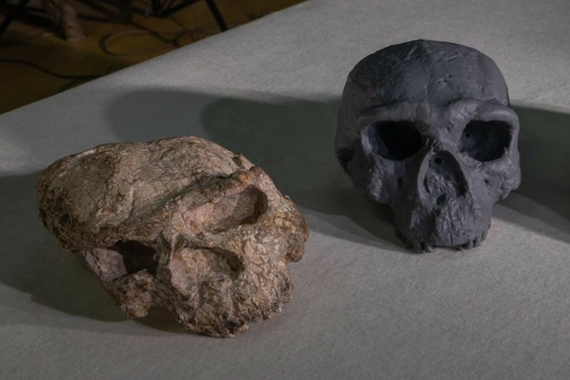 Hallazgo en China reescribe la historia de la evolución humana