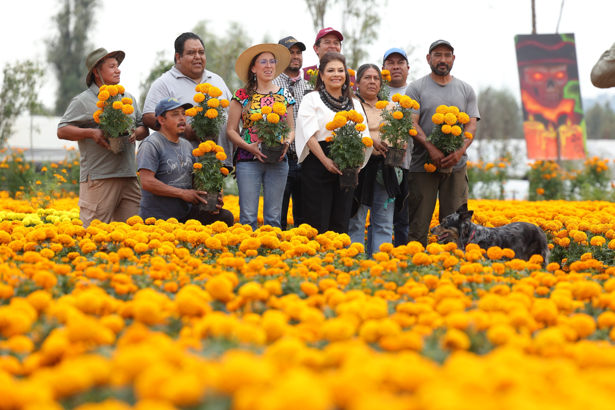 La CDMX se viste de cempasúchil: llega el “Sendero de las Almas” y la gran fiesta del Día de Muertos 2025