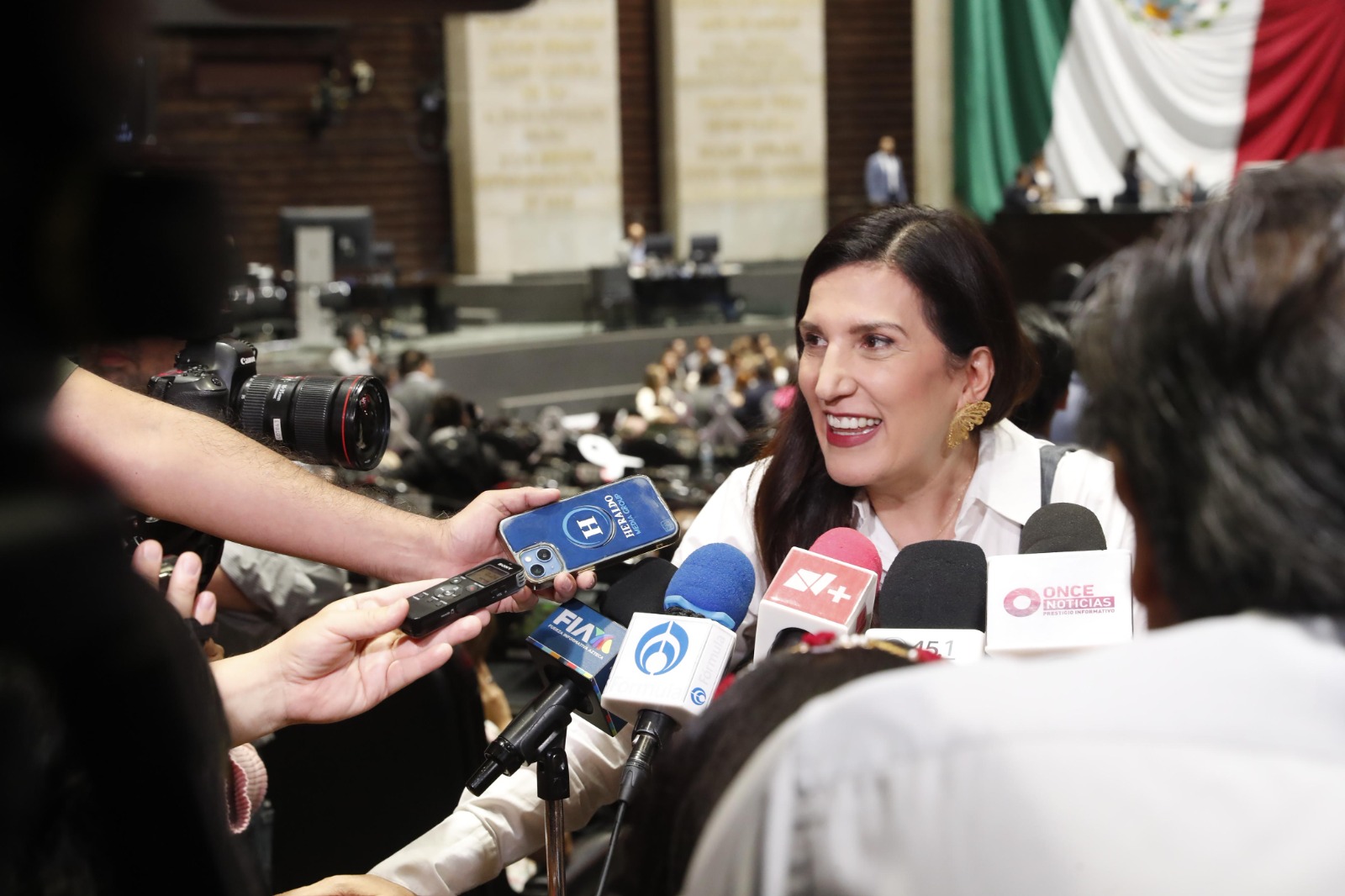 Kenia López Rabadán propone eliminar IVA y deducir gastos veterinarios para apoyar a familias con mascotas