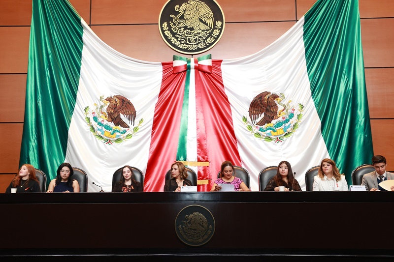 Que hablen ellas: el Congreso pone el foco en la violencia familiar