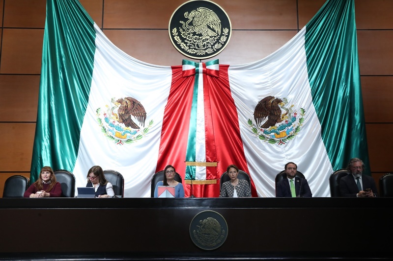 Infancias en riesgo digital: el Congreso prende las alertas