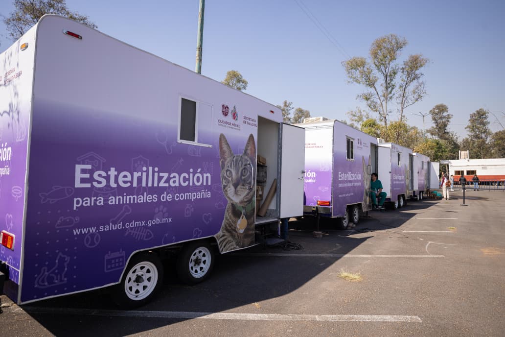 CDMX proyecta 450 mil acciones de salud animal y nuevo albergue para 500 rescatados